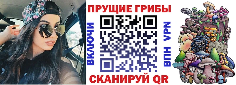 Купить закладки  Оха  Галлюциногенные грибы мицелий 
