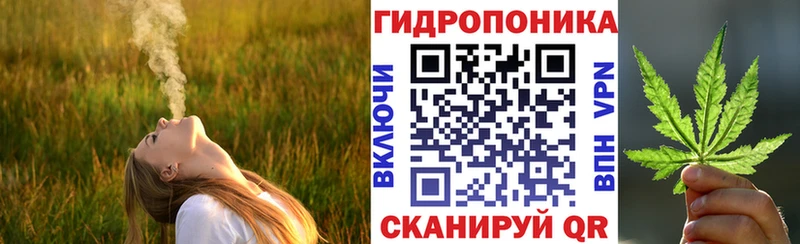 Конопля SATIVA & INDICA  Купить закладки  Оха 